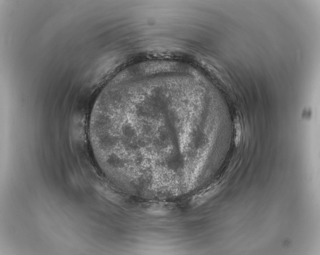 X0000089971060200707202006