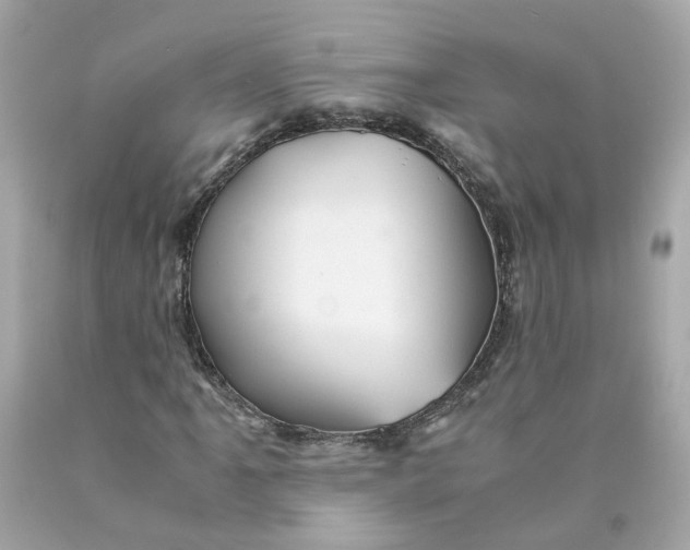 X0000089971061200707202006