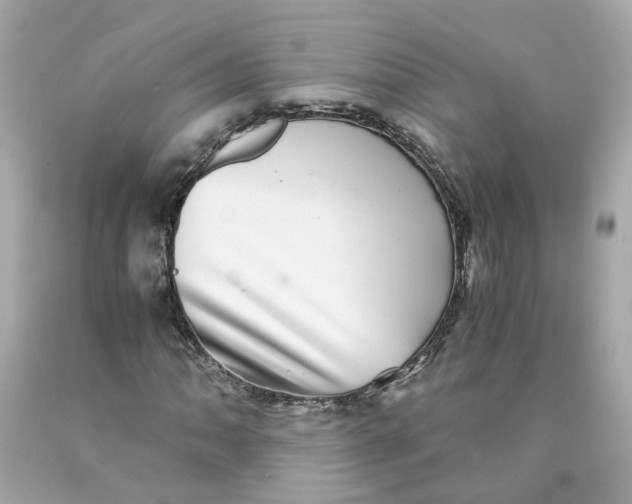 X0000089971062200707202006