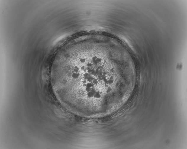 X0000089971063200707202006