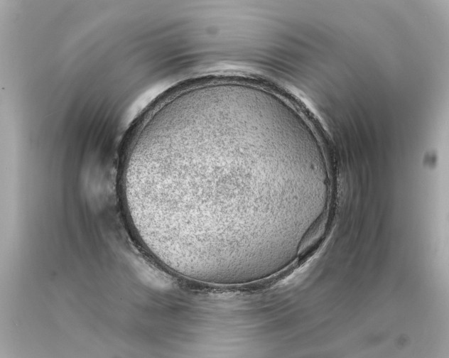 X0000089971066200707202006