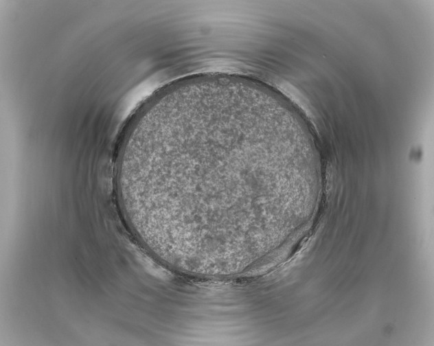 X0000089971067200707202006