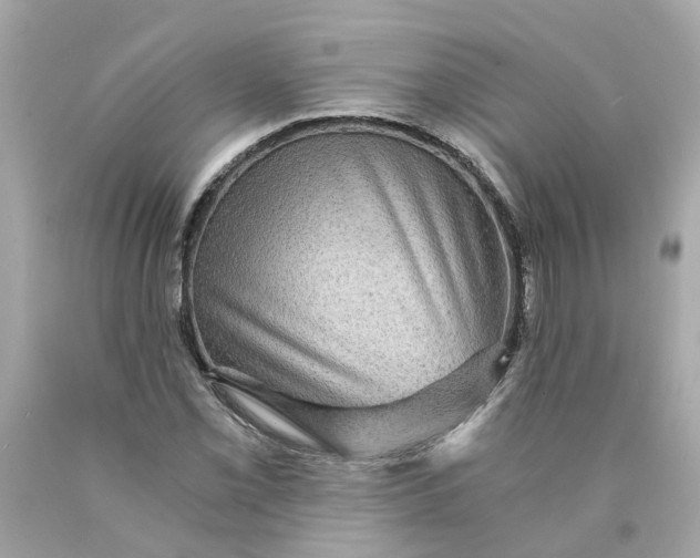 X0000089971069200707202006