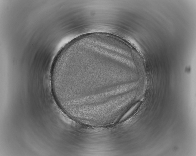 X0000089971072200707202006