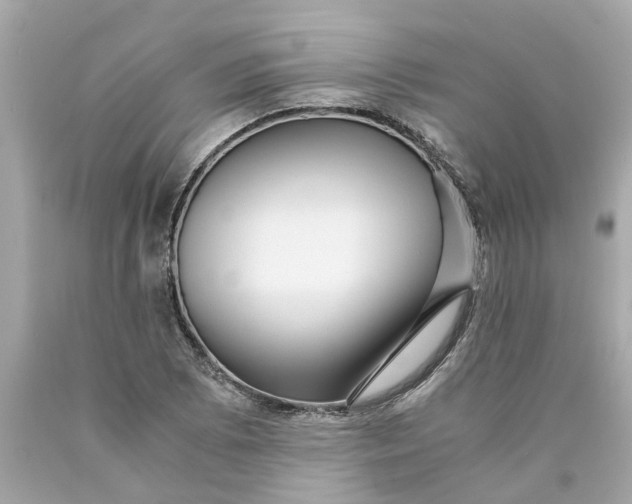 X0000089971073200707202006