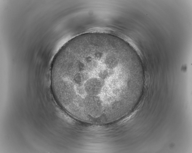 X0000089971075200707202005