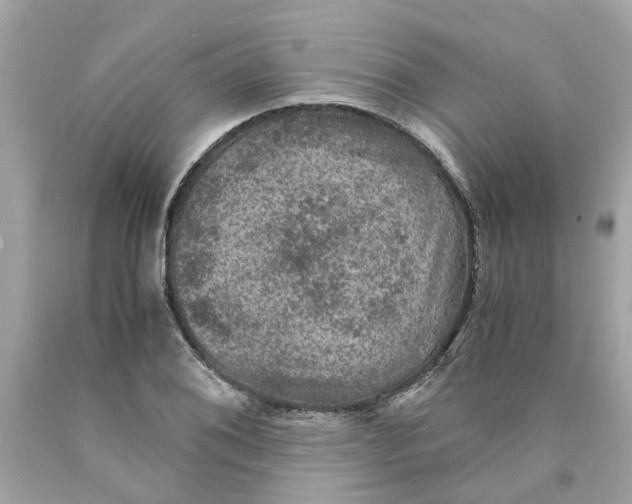 X0000089971076200707202005