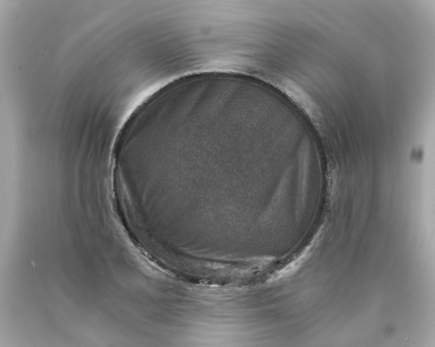 X0000089971077200707202005