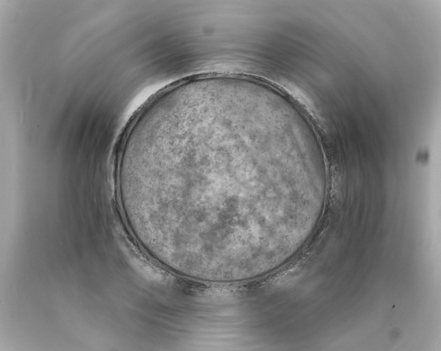 X0000089971078200707202005