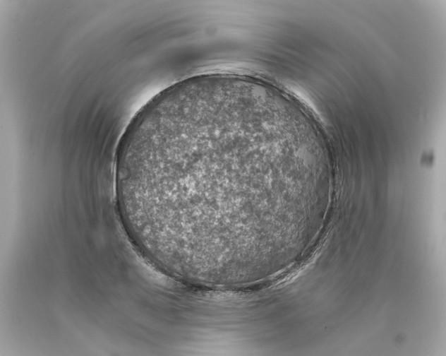 X0000089971079200707202005