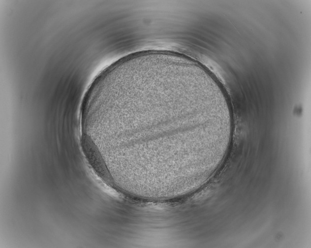 X0000089971080200707202005