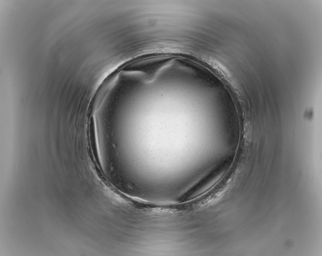 X0000089971081200707202005