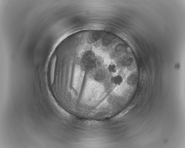 X0000089971083200707202005