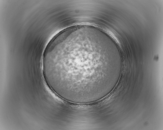 X0000089971084200707202005