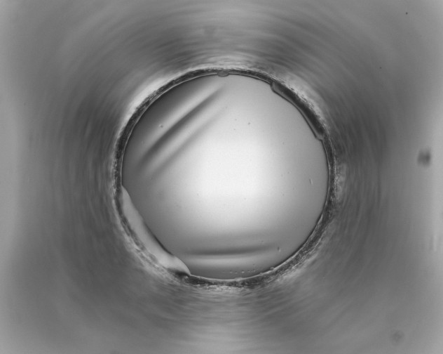 X0000089971085200707202005