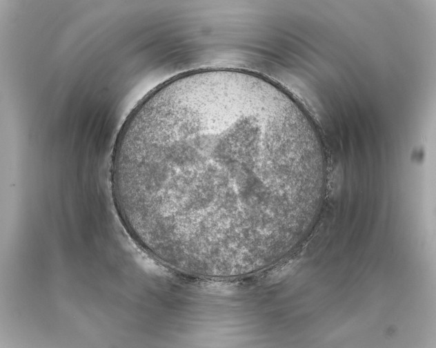 X0000089971086200707202005