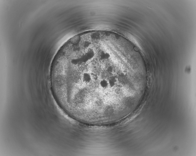 X0000089971087200707202005