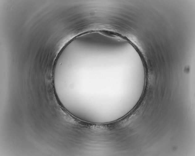 X0000089971089200707202005