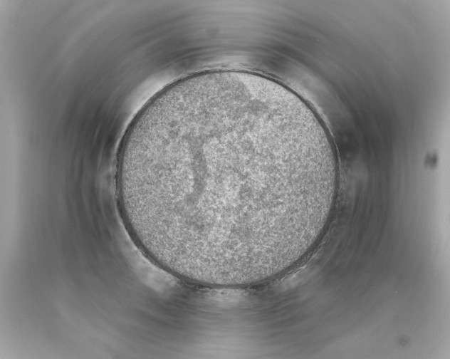 X0000089971090200707202005