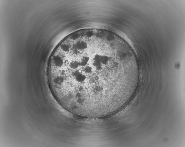 X0000089971091200707202005