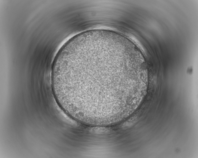 X0000089971092200707202005