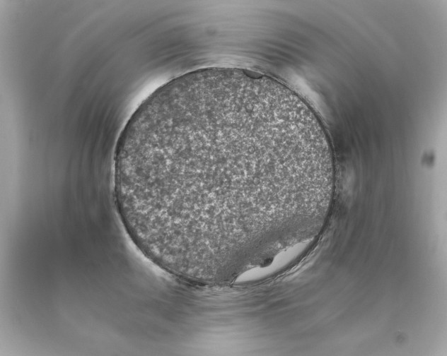 X0000089971095200707202005