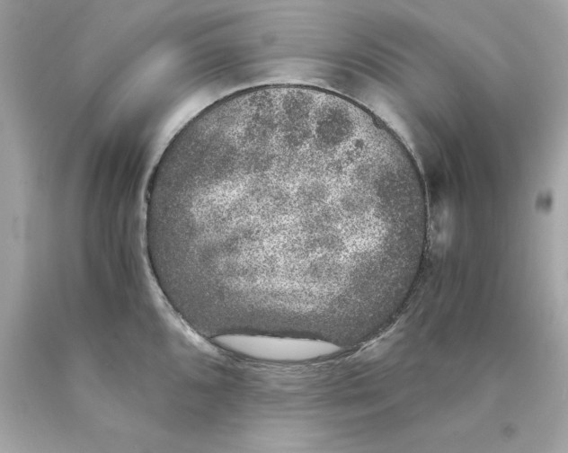 X0000089971096200707202005