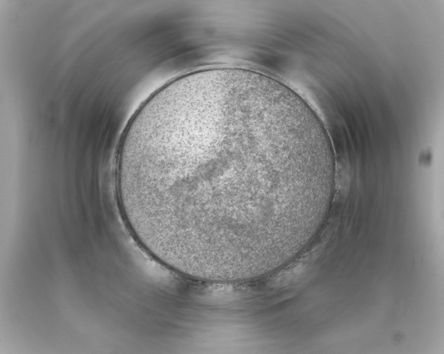 X0000089971098200707202005