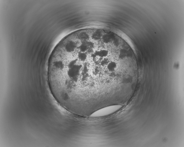 X0000089971099200707202005