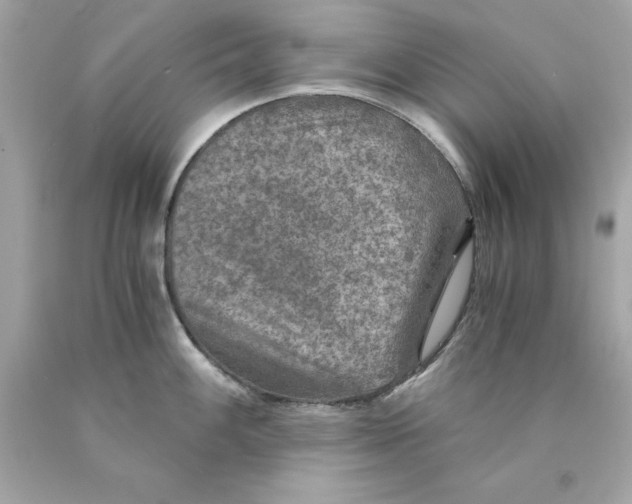 X0000089971100200707202005