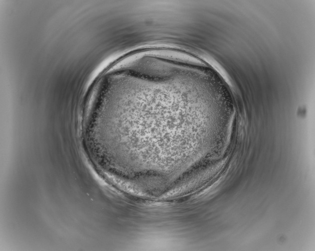 X0000089971101200707202005