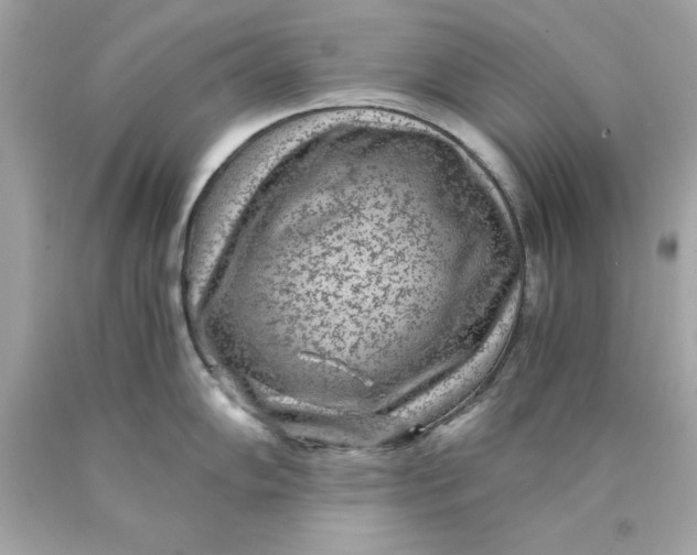 X0000089971102200707202005