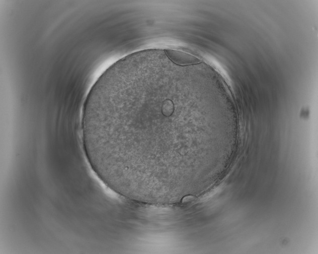 X0000089971103200707202005