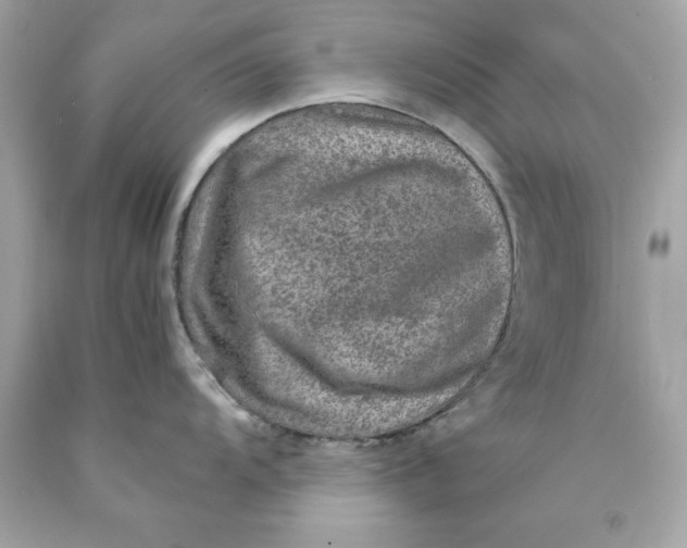 X0000089971104200707202005