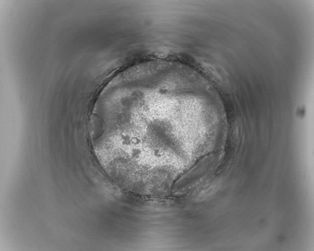 X0000089971105200707202004