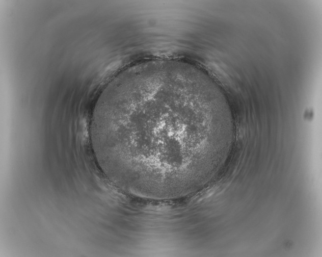 X0000089971106200707202004