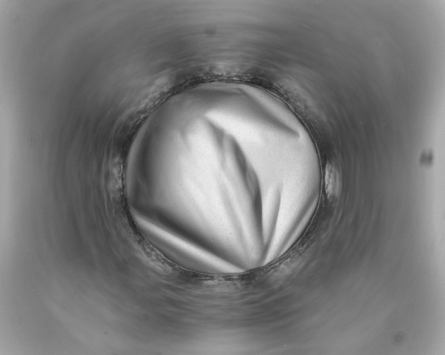 X0000089971107200707202004