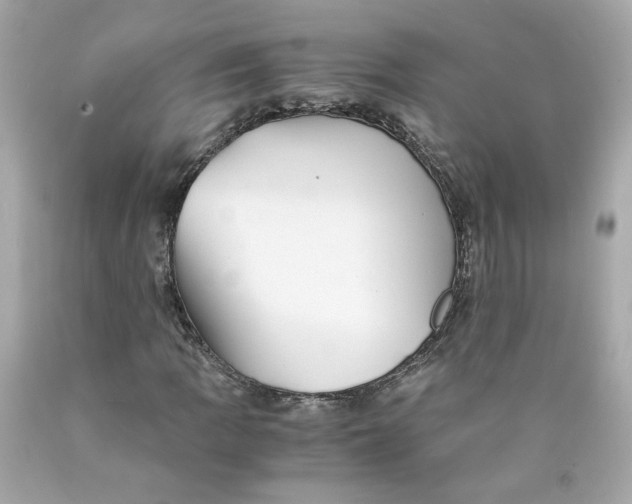 X0000089971109200707202004