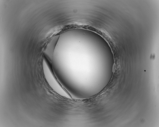 X0000089971110200707202004