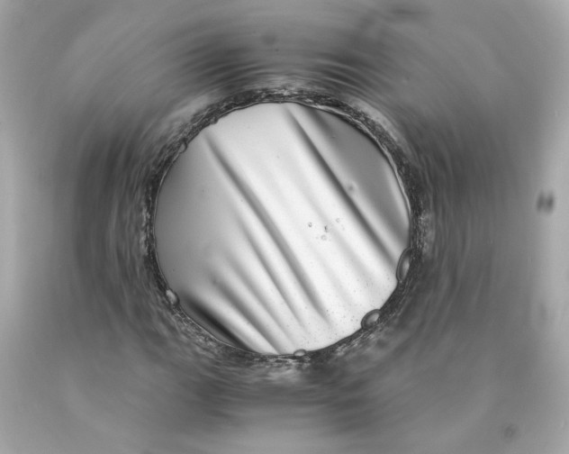 X0000089971111200707202004