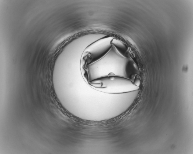 X0000089971112200707202004