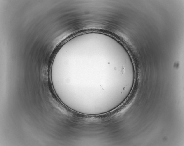 X0000089971113200707202005