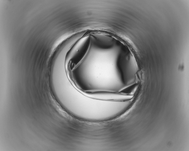 X0000089971114200707202005