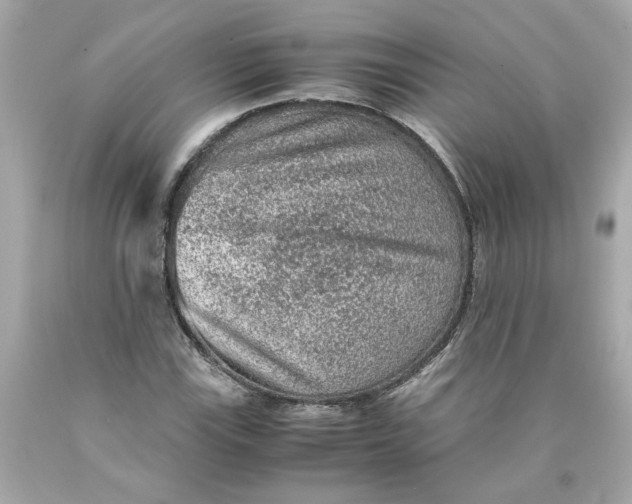 X0000089971115200707202005