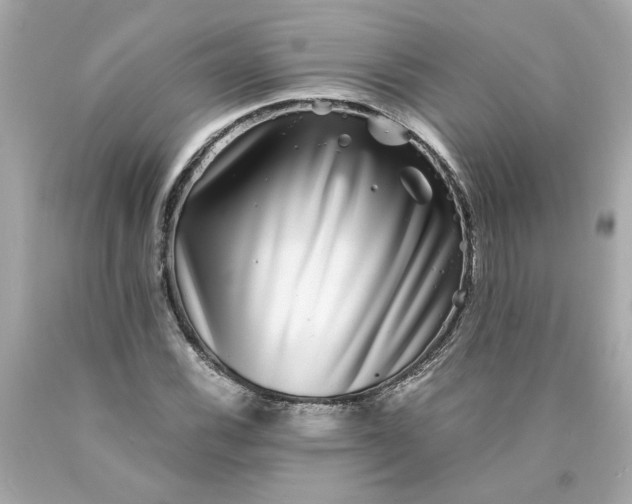 X0000089971116200707202005