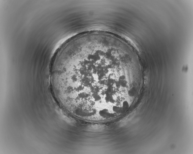 X0000089971117200707202005