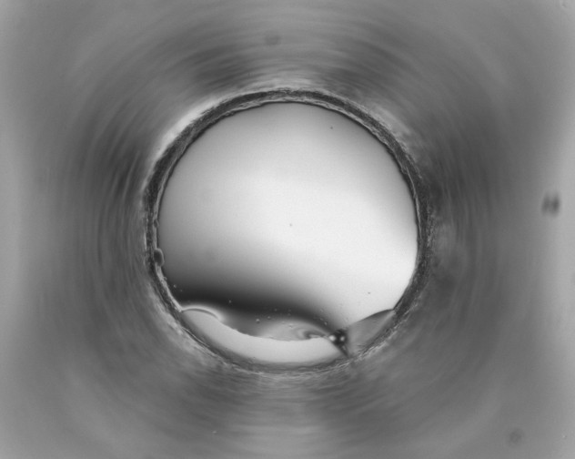 X0000089971118200707202005