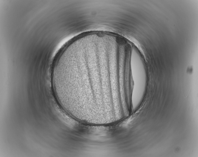 X0000089971120200707202005