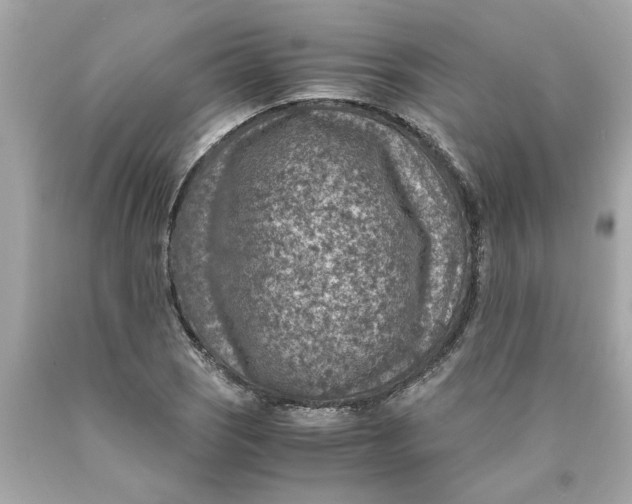 X0000089971121200707202005