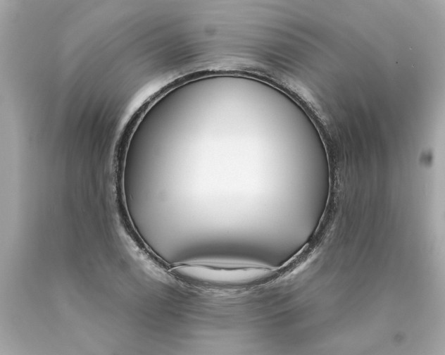 X0000089971122200707202005